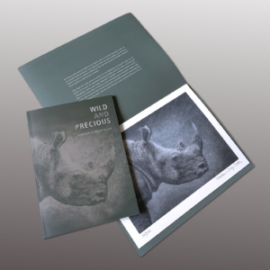 Rhino <br> Art Print