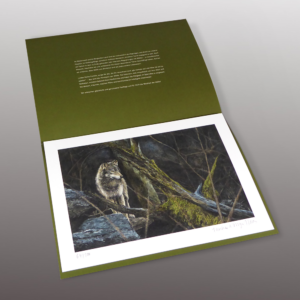 THE WISDOM OF WOLFES <br> ART PRINT