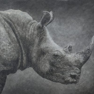 RHINO, Acryl, Kreidegrund, Leinöl, Frottage, Farbstifte, Ölstifte, Graphit auf Leinwand, 170 x 125 cm, © Sascha Bianca & Ingo Maas