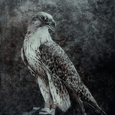 GERFALKE I, Acryl, Kreidegrund, Leinöl, Frottage, Farbstifte, Ölstifte, Graphit auf Fabriano Cotton, 70 x 100 cm, © Sascha & Ingo Maas