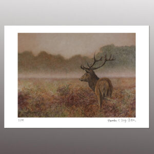 Rothirsch III <br> Fine Art Print