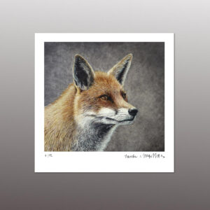 Fuchs II <br> Fine Art Print