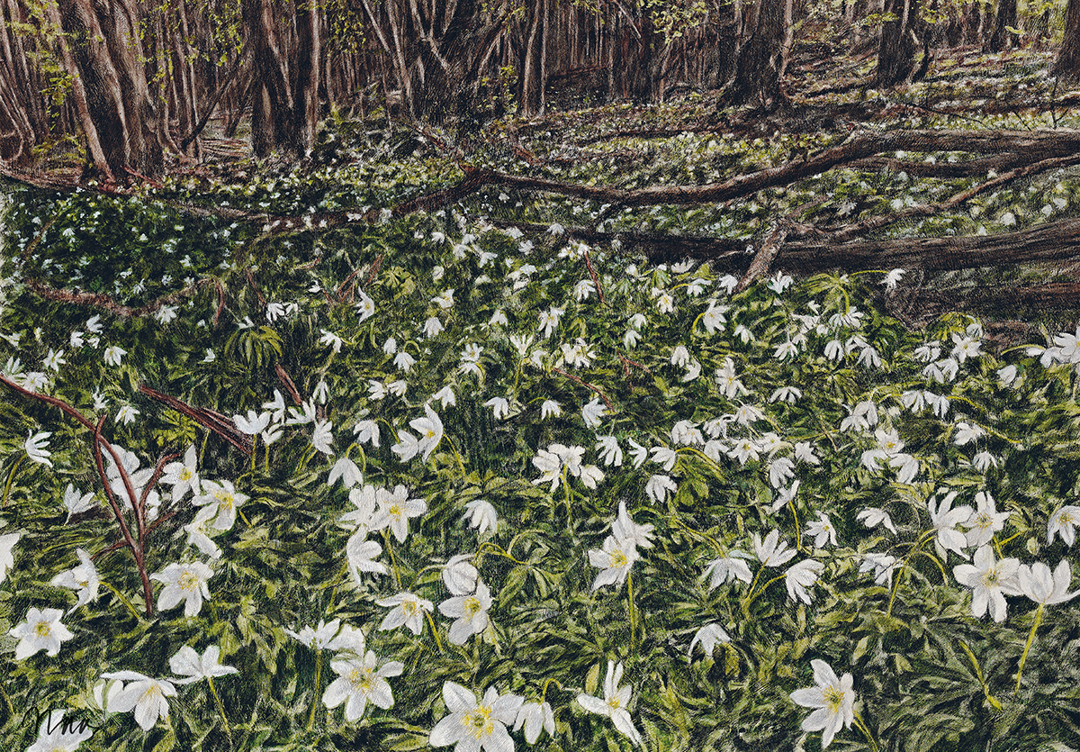 Über sieben Berge <br> Limited Art Edition – Bild 6