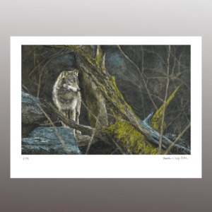 The Wisdom of Wolfes <br> Fine Art Print