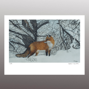 Fuchs im winterlichen Siebengebirge <br> Fine Art Print