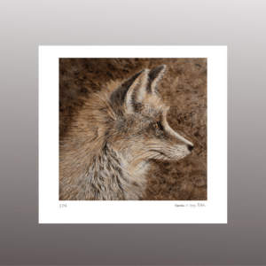 Fuchs I <br> Fine Art Print